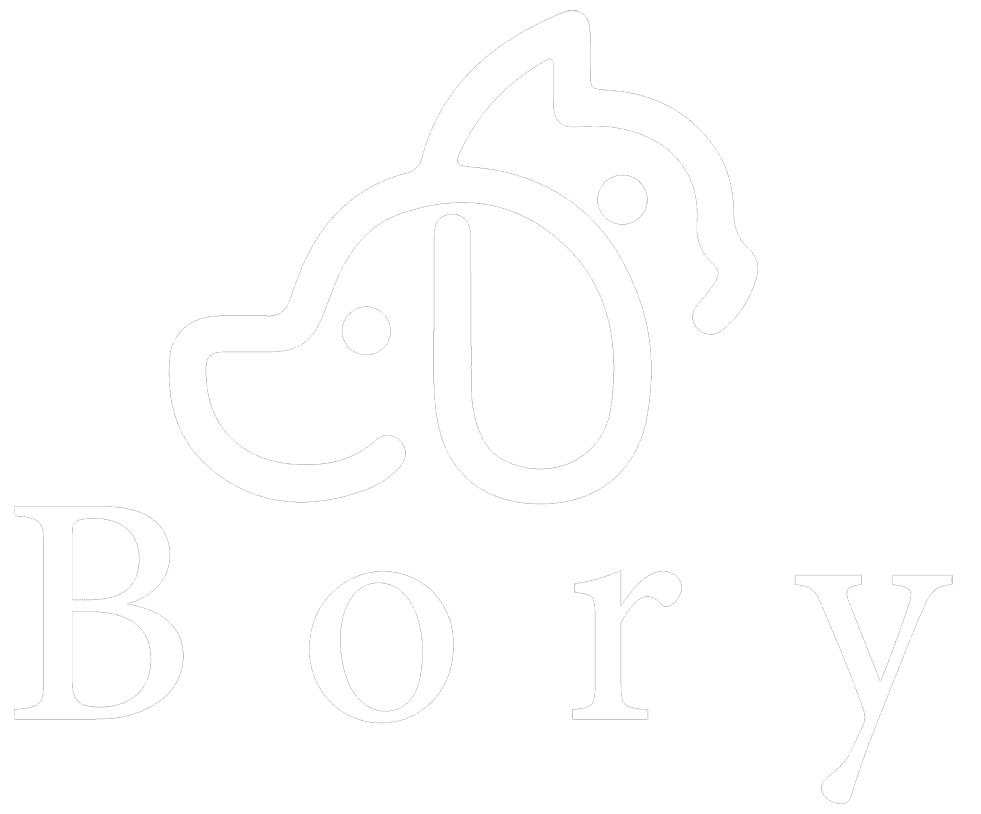 BoryPet